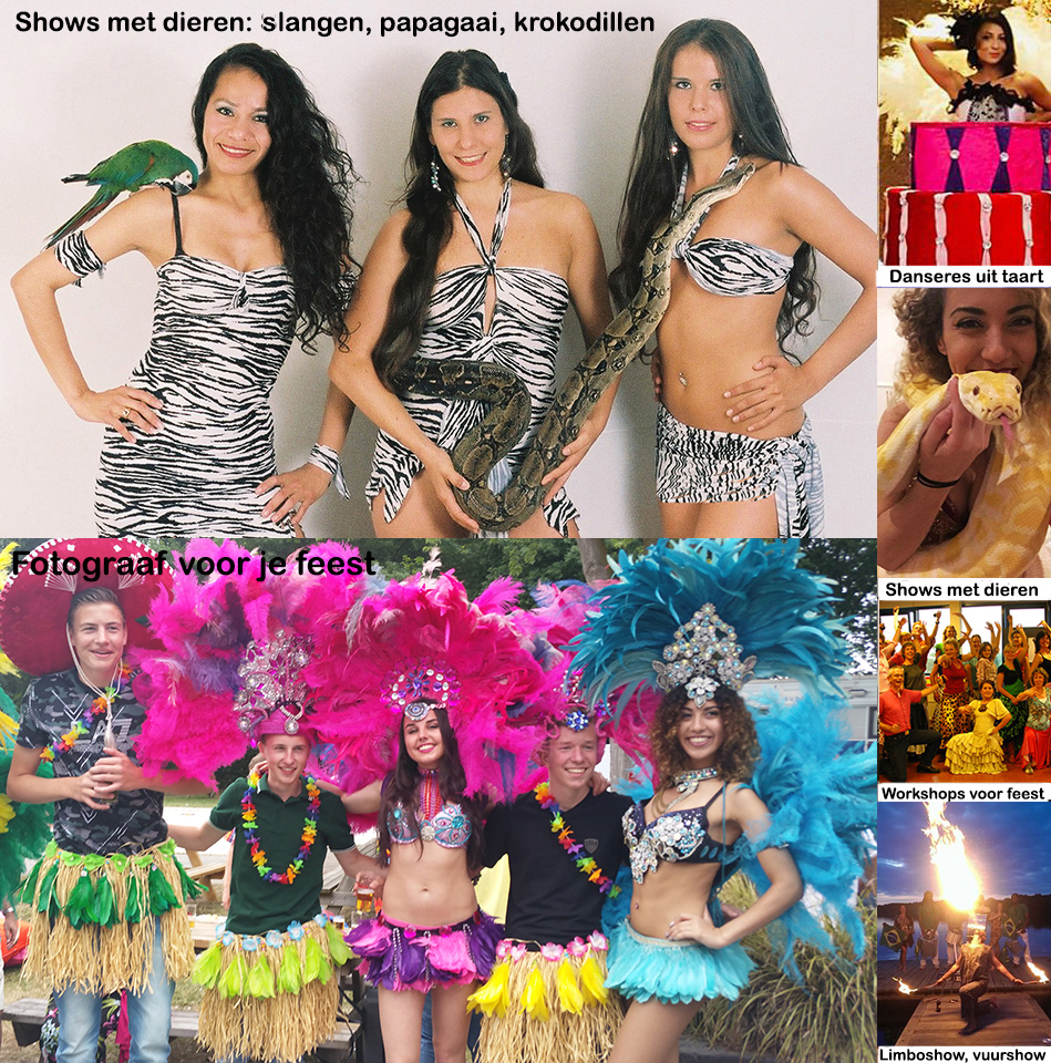 Trinidad en Tobago themafeest band